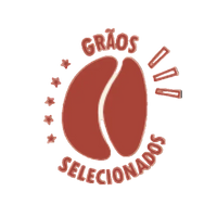 🇧🇷 100% brasileiro