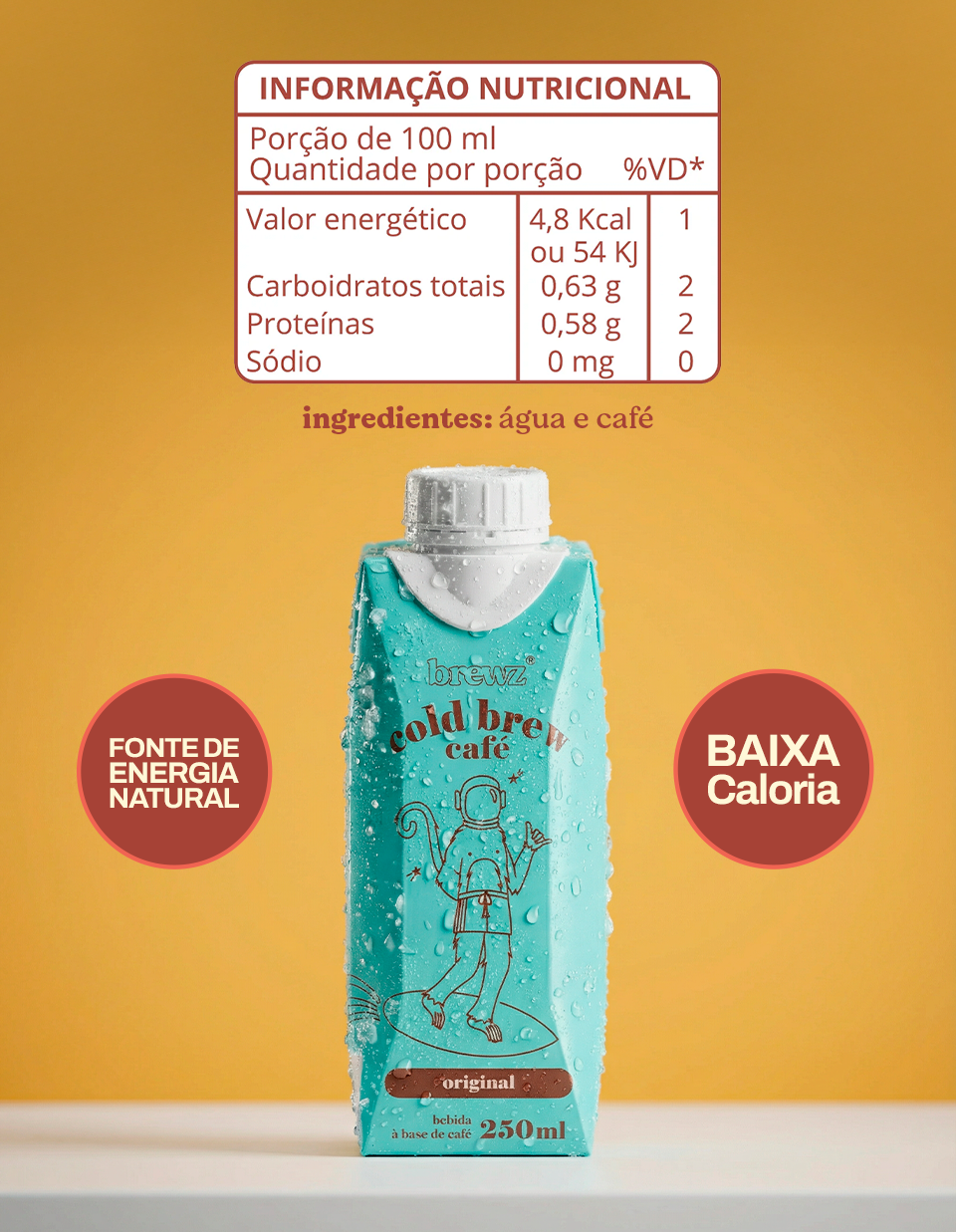 cold brew - original 250ml | sem açúcar